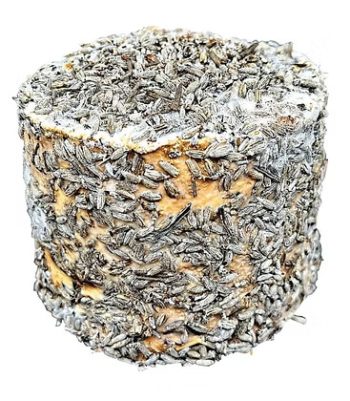 Sfizioso alla Lavanda