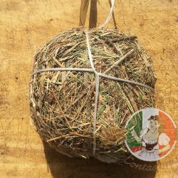 Formaggio Caprino al Fieno – półtwardy ser kozi dojrzewający w sianie